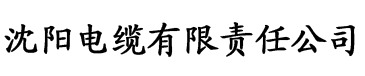 av理论电影在线电缆厂logo